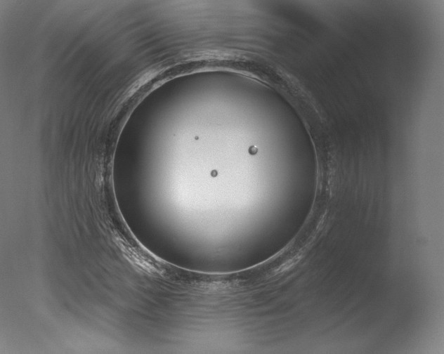 X0000077371017200610201343