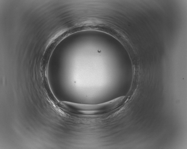 X0000077371018200610201343