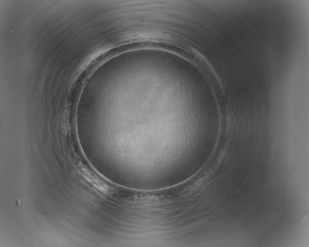 X0000077371019200610201343