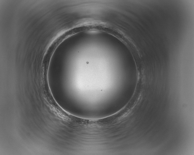 X0000077371021200610201343