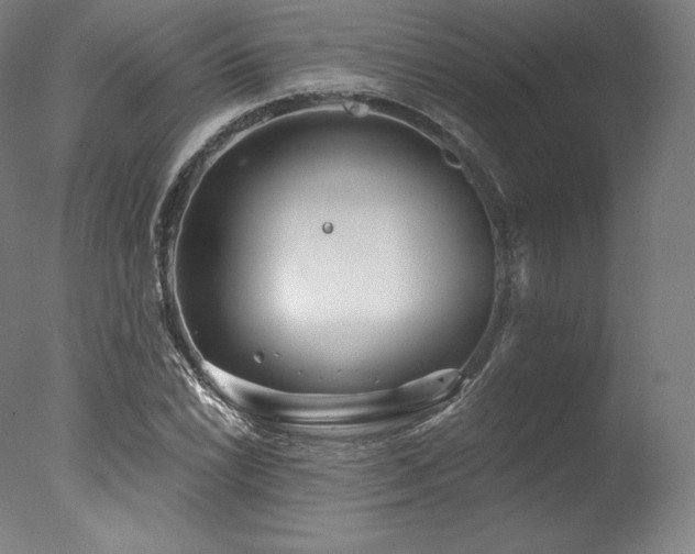 X0000077371022200610201343