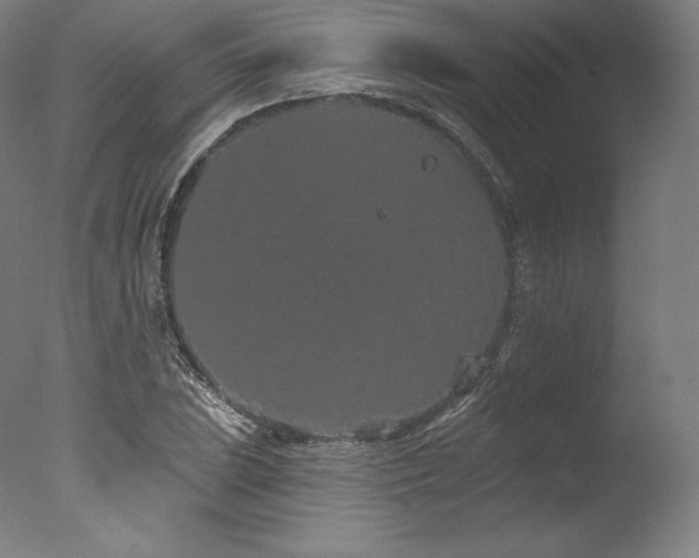 X0000077371023200610201343