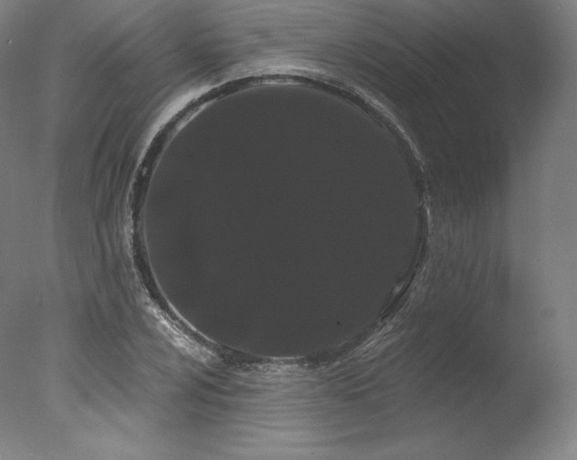 X0000077371024200610201343