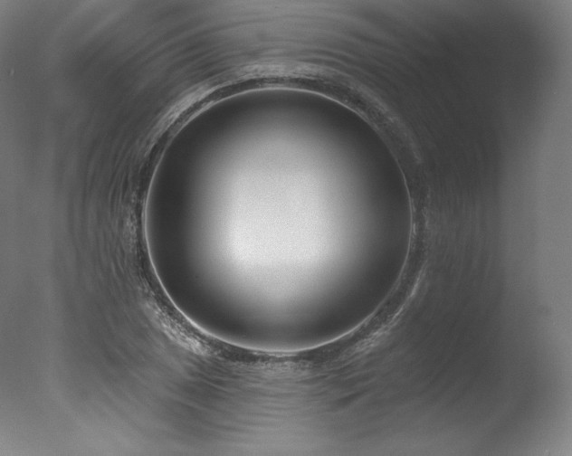 X0000077371025200610201343