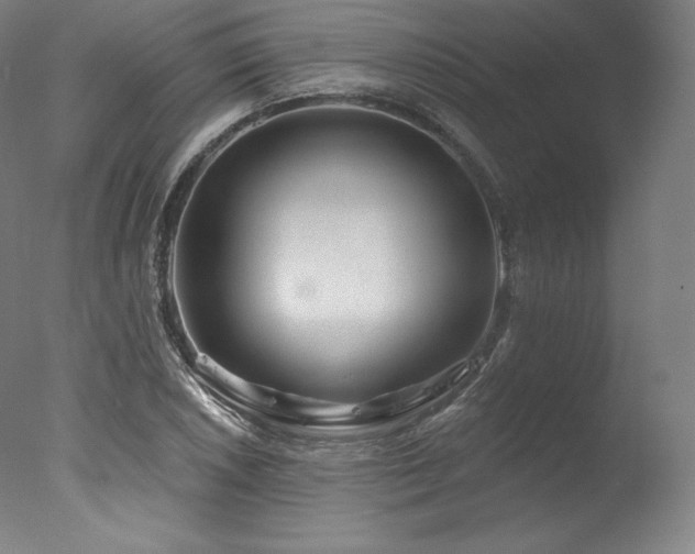 X0000077371026200610201343