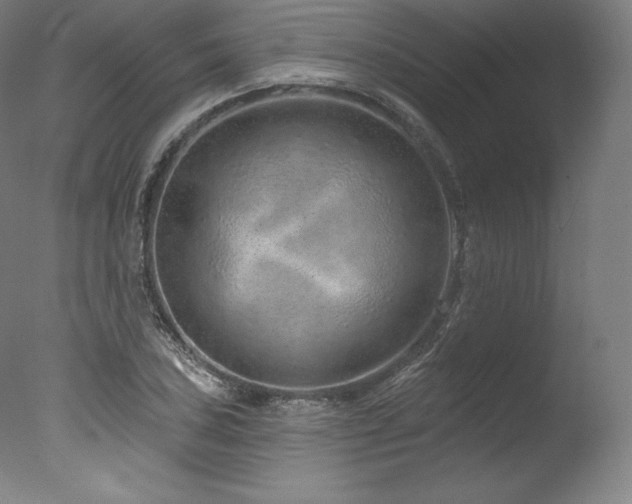 X0000077371027200610201343