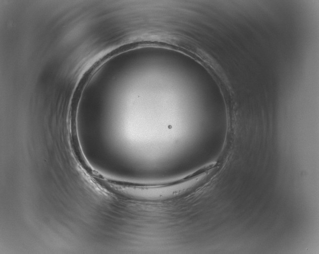 X0000077371028200610201343