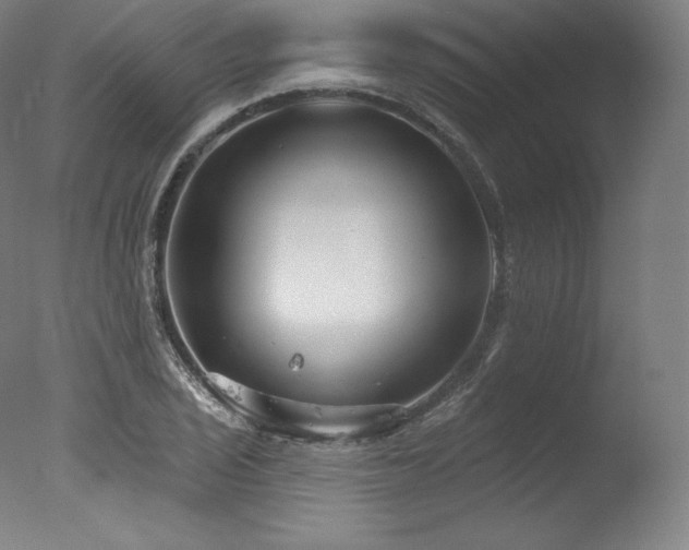 X0000077371029200610201343