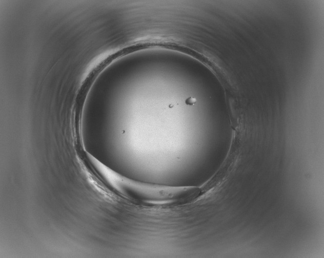 X0000077371030200610201343