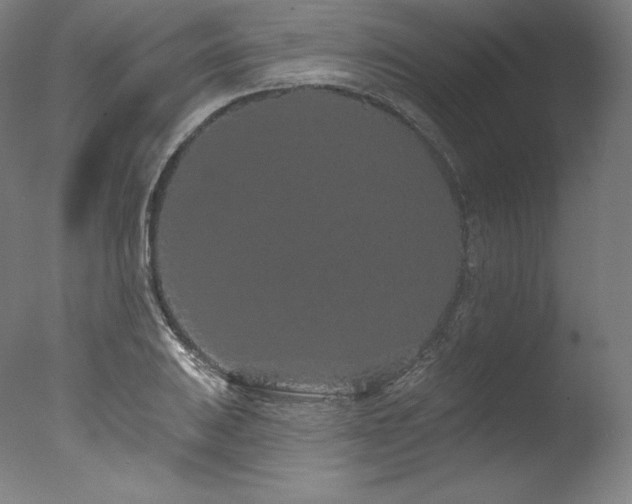 X0000077371031200610201343