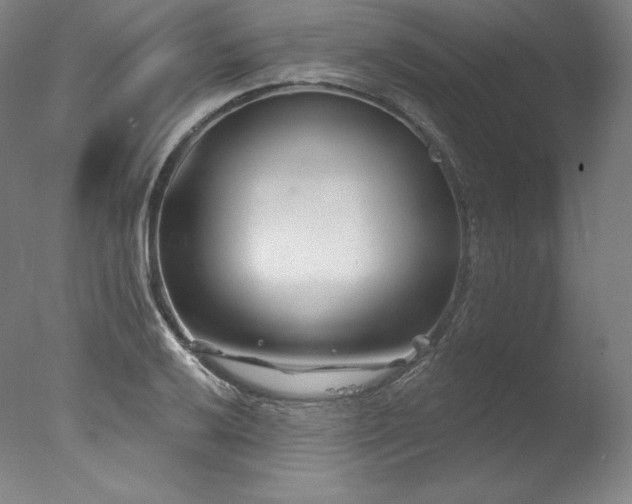 X0000077371032200610201343