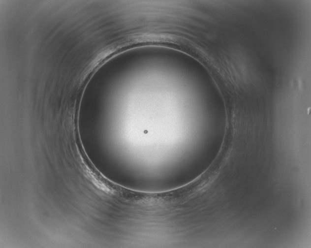 X0000077371033200610201343