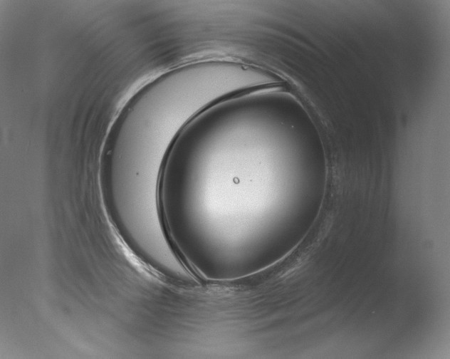 X0000077371034200610201343