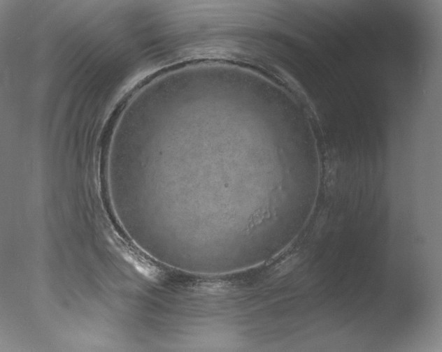 X0000077371035200610201343