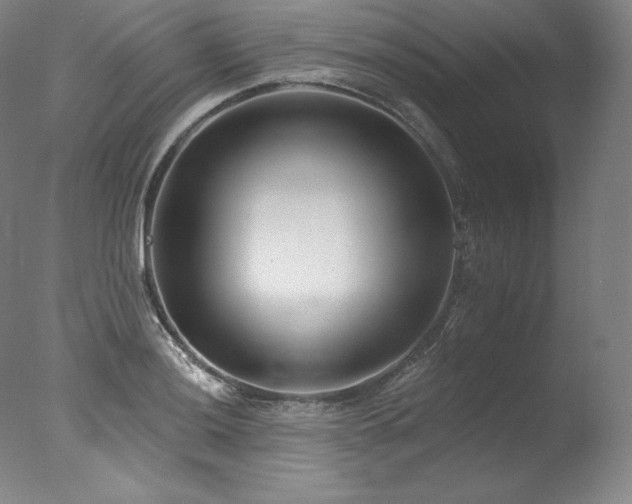 X0000077371036200610201343