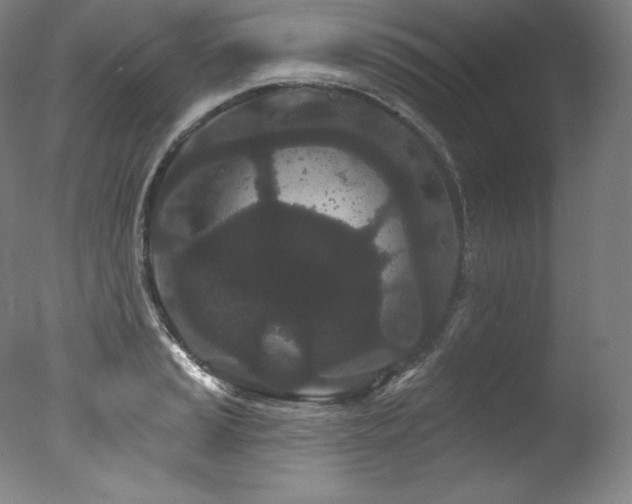 X0000077371037200610201343