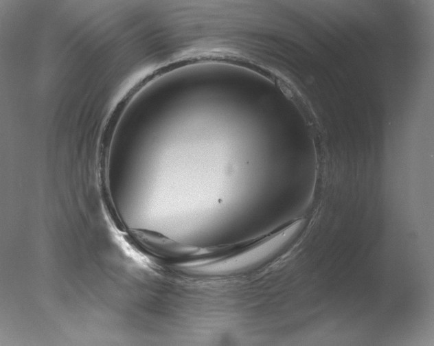 X0000077371038200610201343