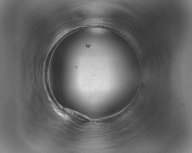 X0000077371039200610201343