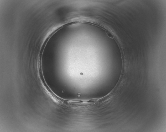 X0000077371040200610201343