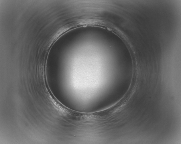 X0000077371041200610201343