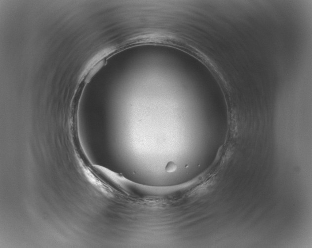 X0000077371042200610201343