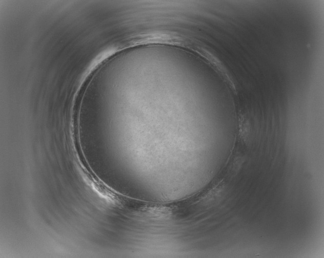 X0000077371043200610201343