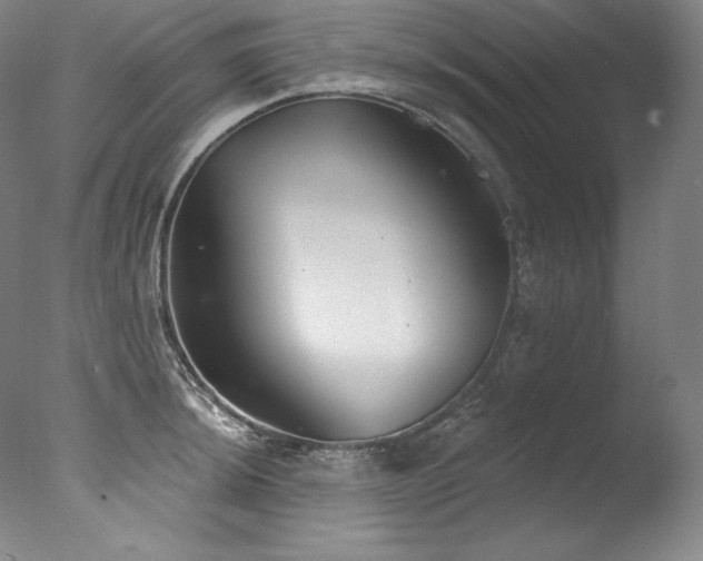 X0000077371044200610201343