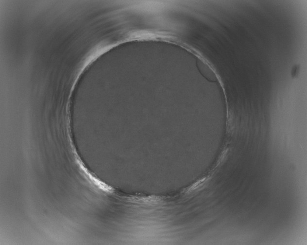 X0000077371045200610201343