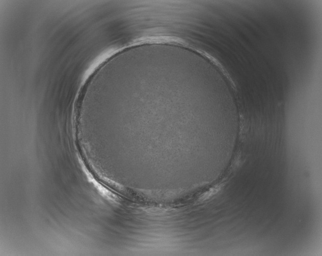 X0000077371046200610201343