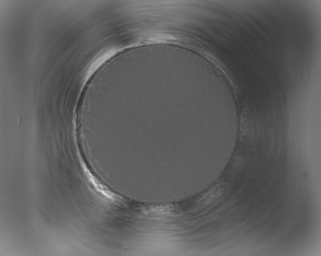 X0000077371047200610201343