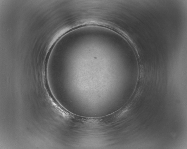 X0000077371048200610201343