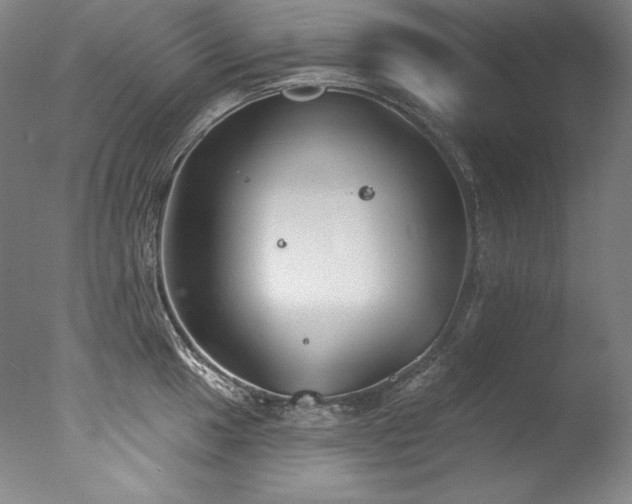 X0000077371049200610201343