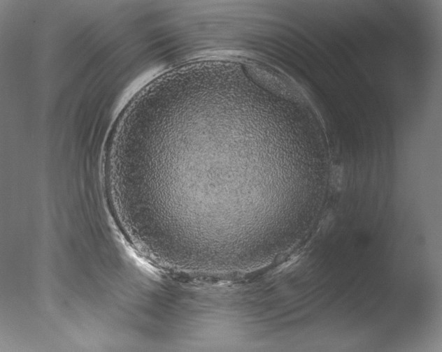 X0000077371050200610201343