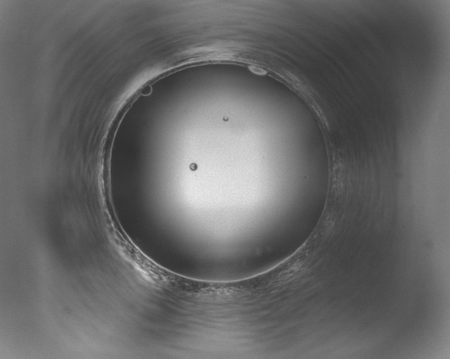 X0000077371051200610201343