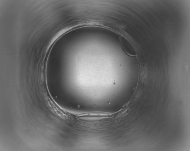 X0000077371052200610201343