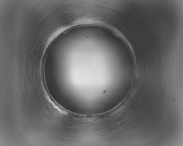 X0000077371053200610201343