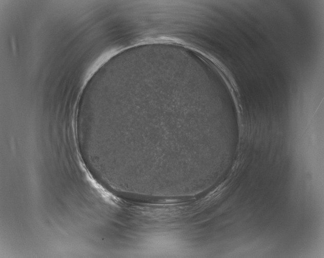 X0000077371054200610201344