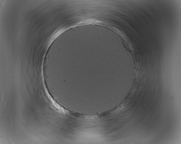 X0000077371055200610201344