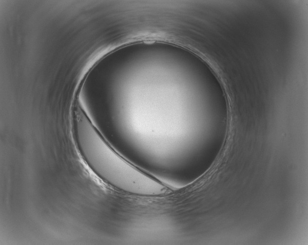 X0000077371056200610201344