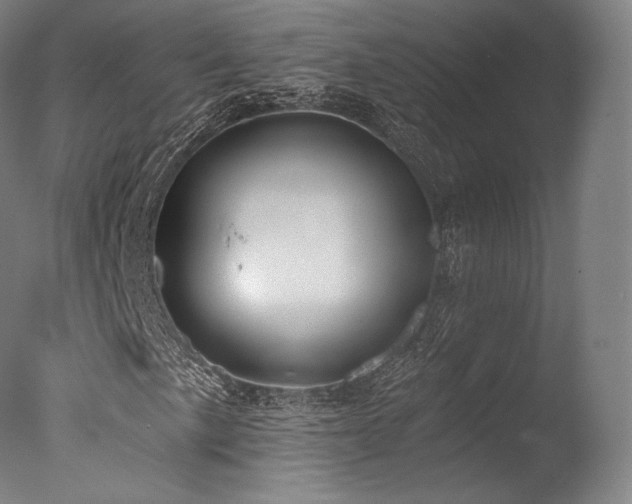 X0000077371057200610201343