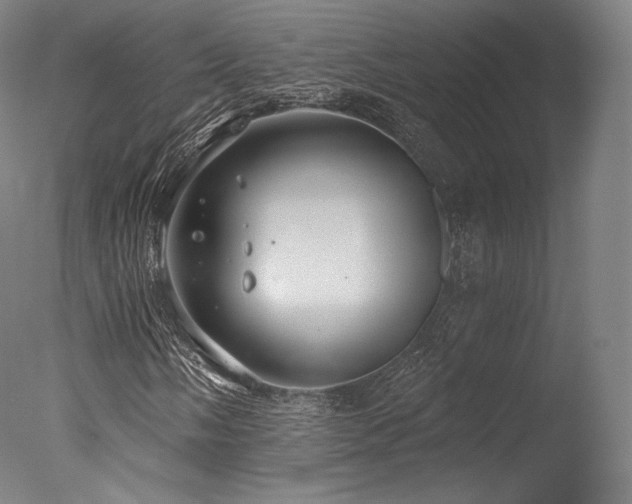 X0000077371058200610201343