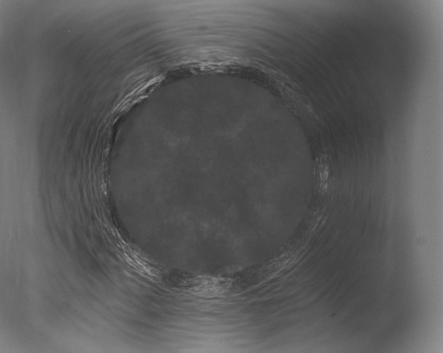 X0000077371060200610201343