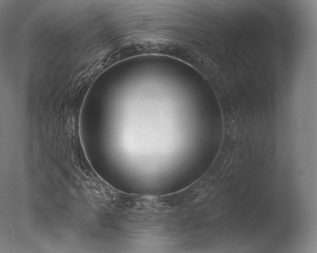 X0000077371061200610201343