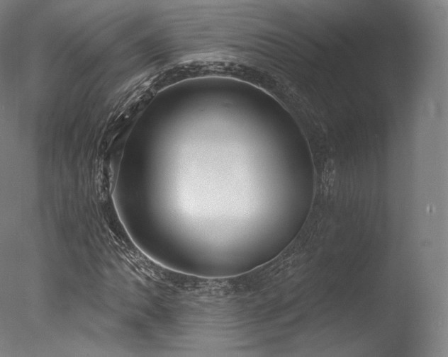 X0000077371062200610201343