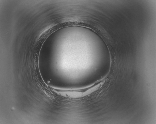 X0000077371064200610201343