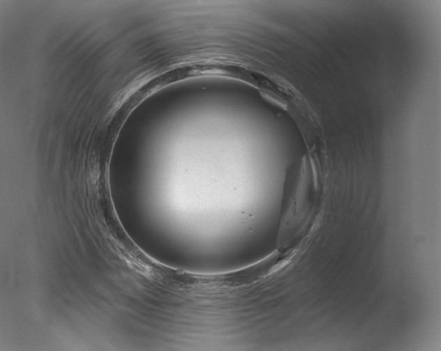 X0000077371065200610201343