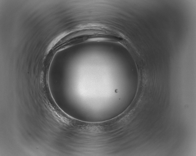 X0000077371066200610201343