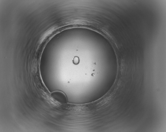 X0000077371067200610201343