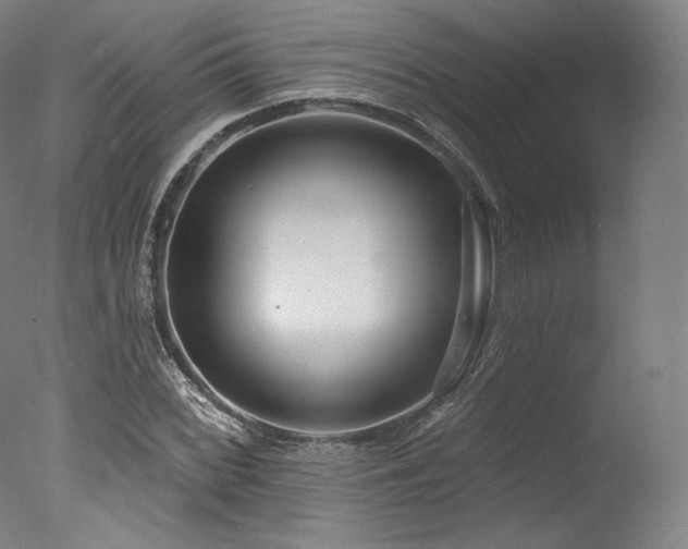 X0000077371068200610201343