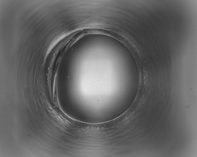 X0000077371069200610201343